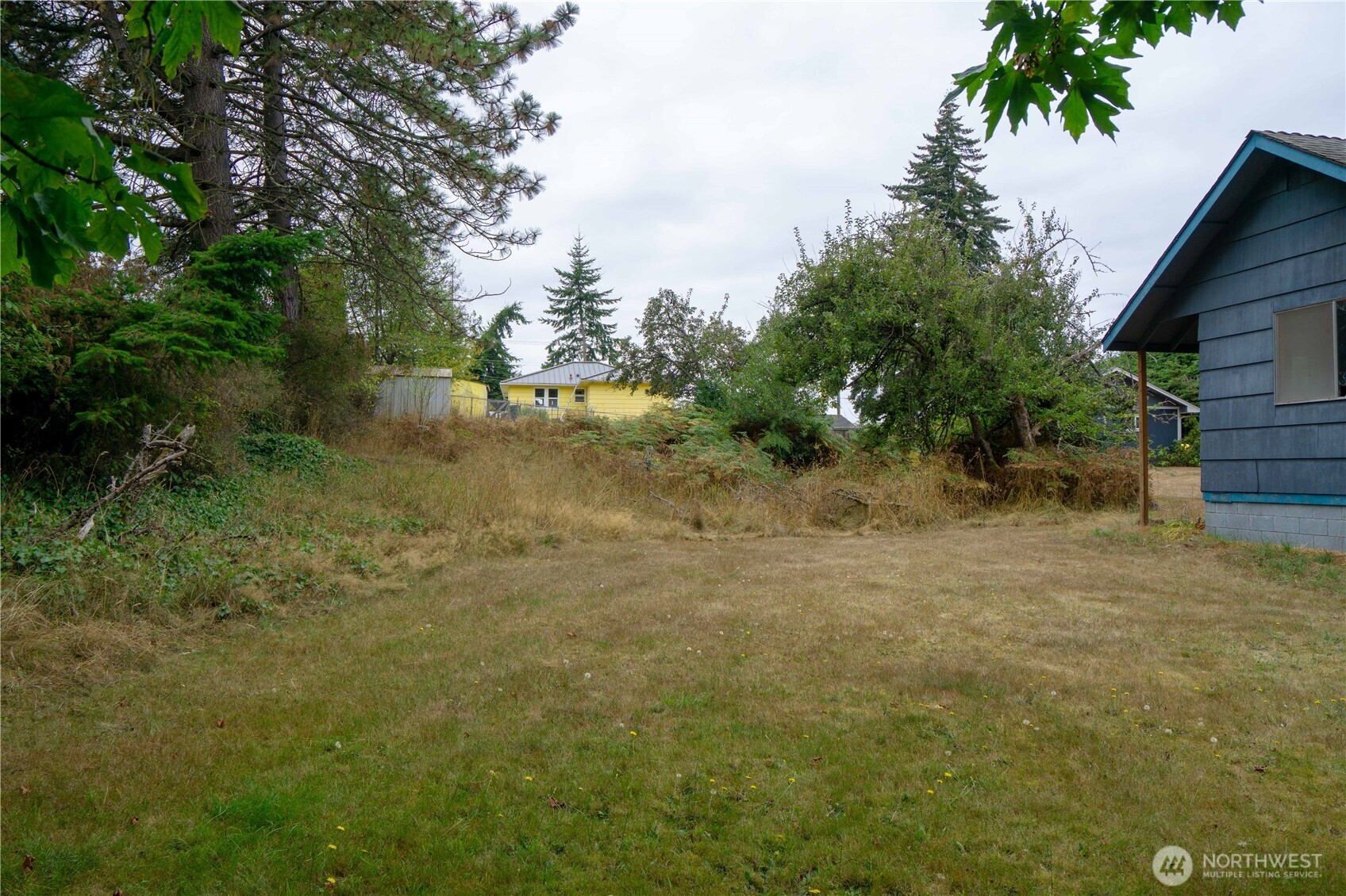 1122 West Spruce Street Port Angeles, WA 98363 - Photo 24 of 30 a view of a yard with trees