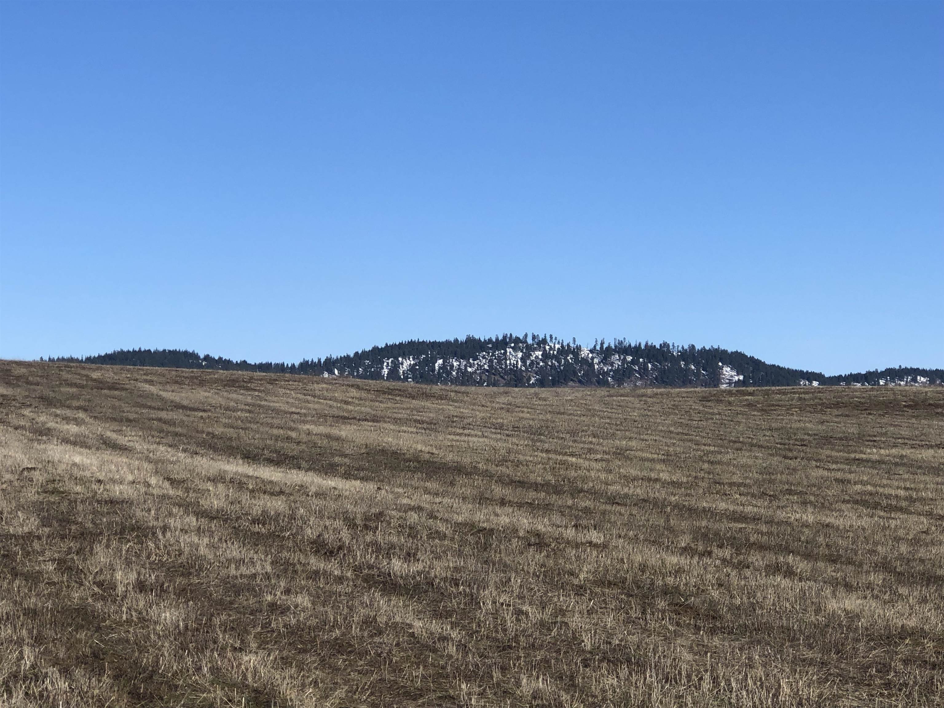 41900 North Darknell Road Elk, WA 99009 - Photo 17 of 33 Gallery Image 17