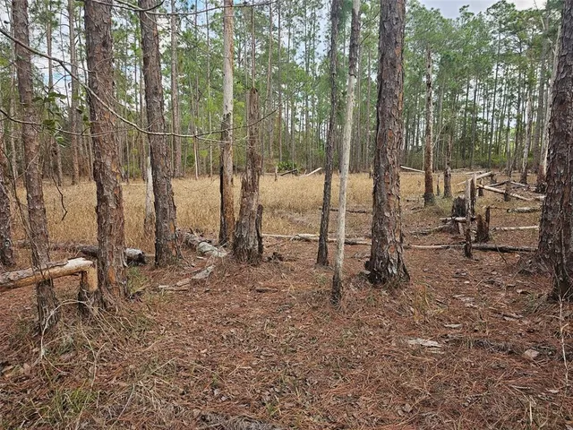 $79,400 | Chinaberry Street, Eustis, FL 32736