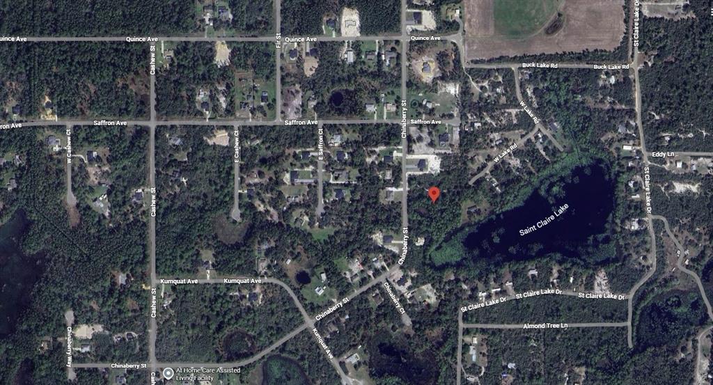 Chinaberry Street Eustis, FL 32736 - Photo 4 of 10