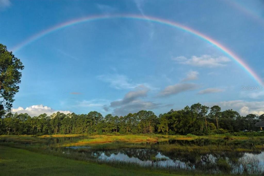 Chinaberry Street Eustis, FL 32736 - Photo 8 of 10