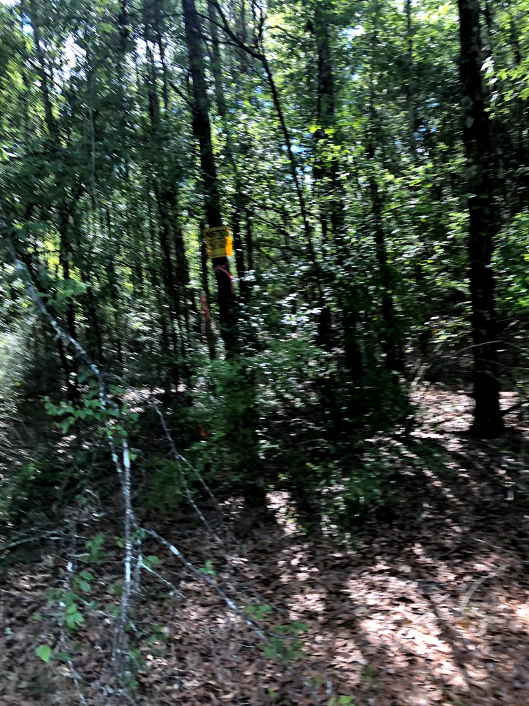 0 State Highway Samson, AL 36477 - Photo 5 of 7