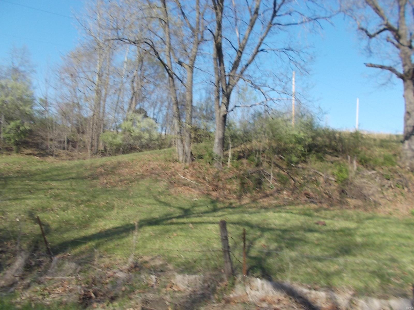 1048 Wilson Road Ava, IL 62907 - Photo 14 of 17