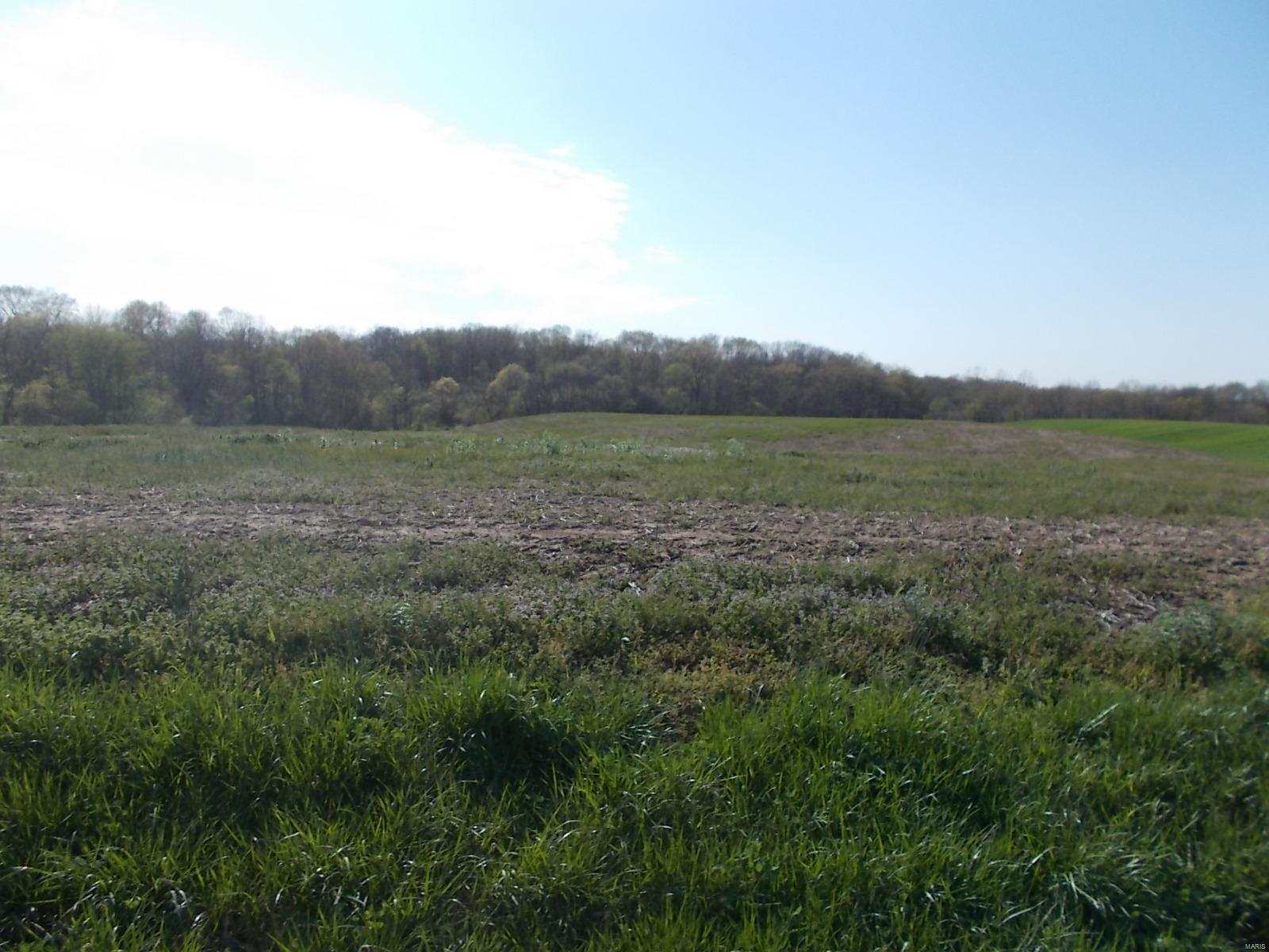 1048 Wilson Road Ava, IL 62907 - Photo 4 of 17
