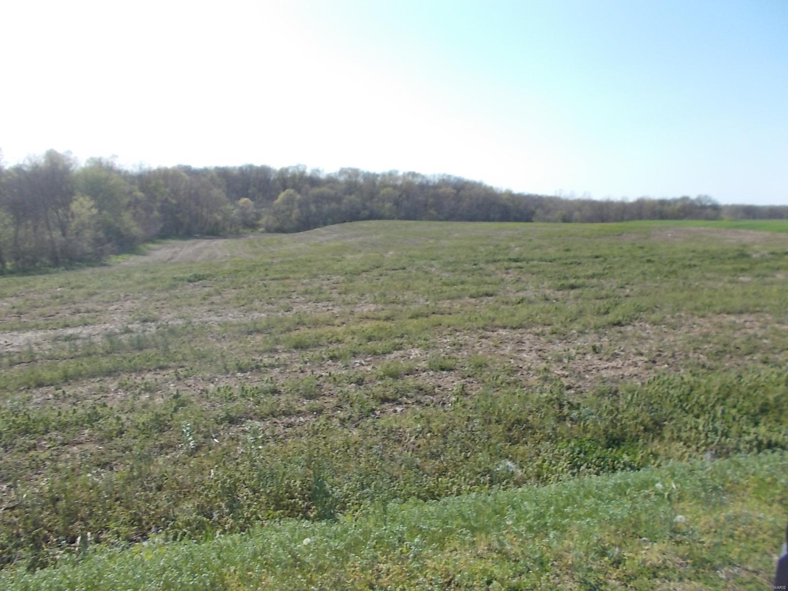 1048 Wilson Road Ava, IL 62907 - Photo 5 of 17