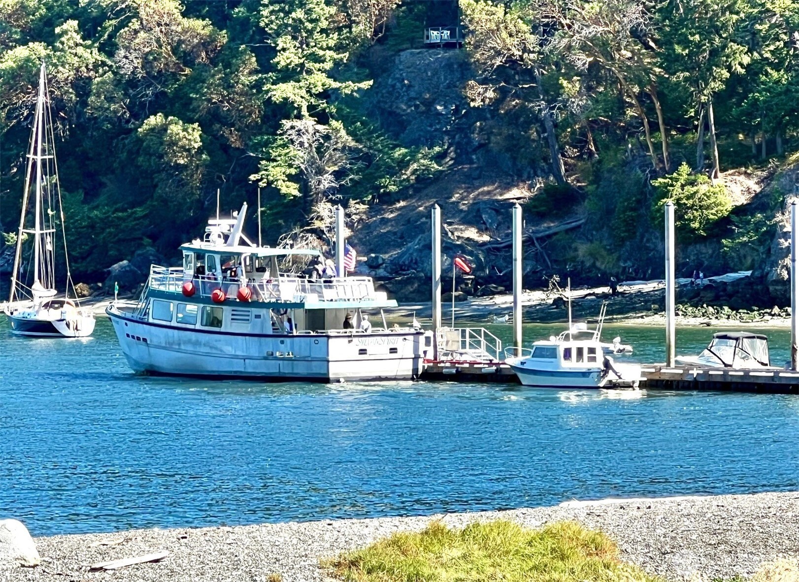 68 Sylvan Cove W Road Decatur Island, WA 98221 - Photo 34 of 35 a view of a park with large trees