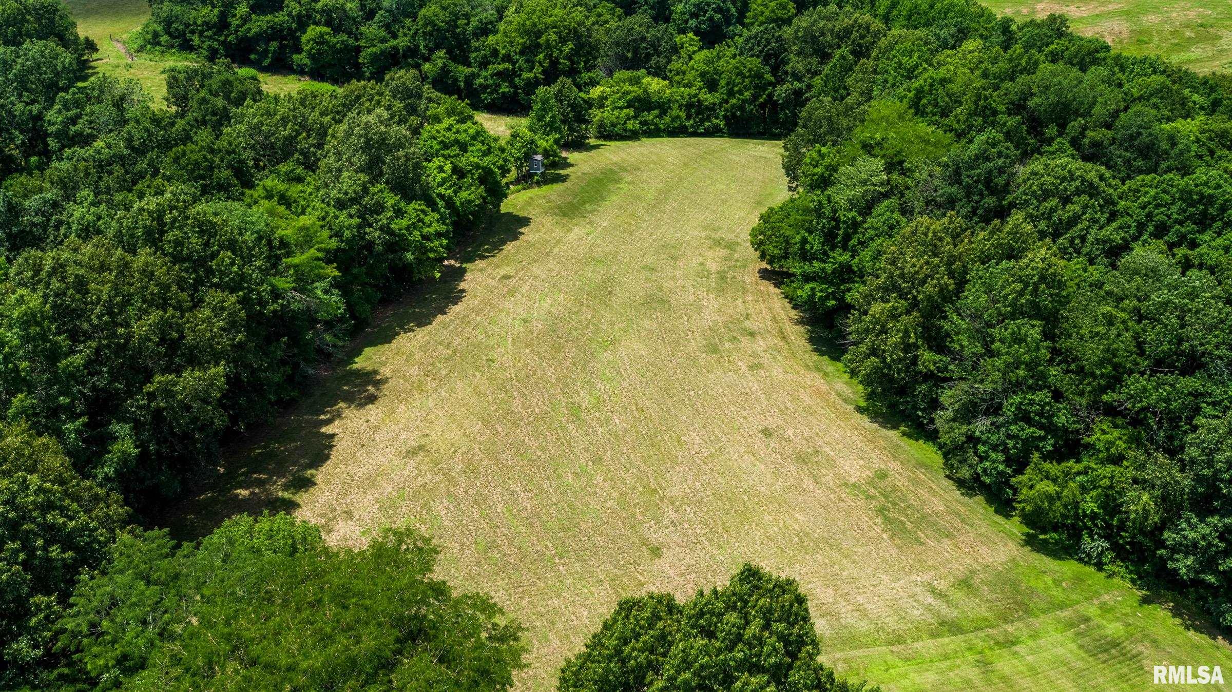 550 Body Barn Road Anna, IL 62906 - Photo 4 of 38