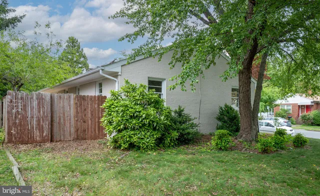 a view of backyard with potted plants and large tree