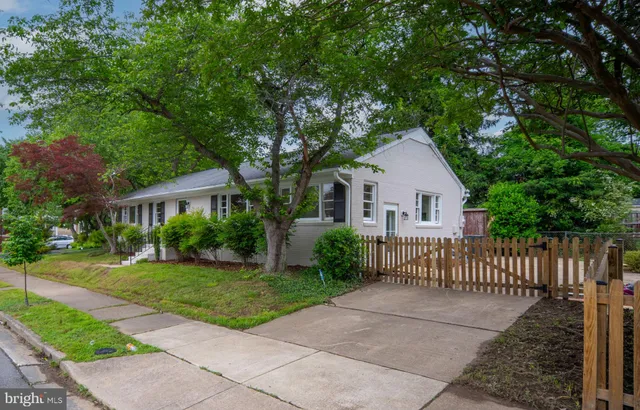 a view of backyard with a barn and a large cactus tree