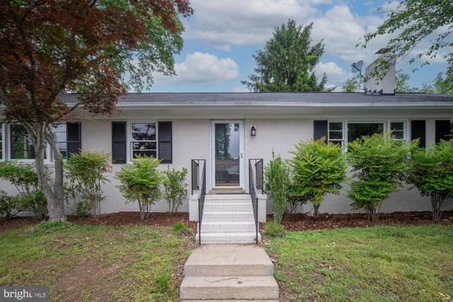 a backyard of a house with hardwood floor and a potted plant