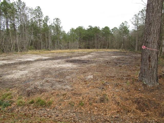 0 Pat Smith Road Pearl River, LA 70452 - Photo 2 of 4