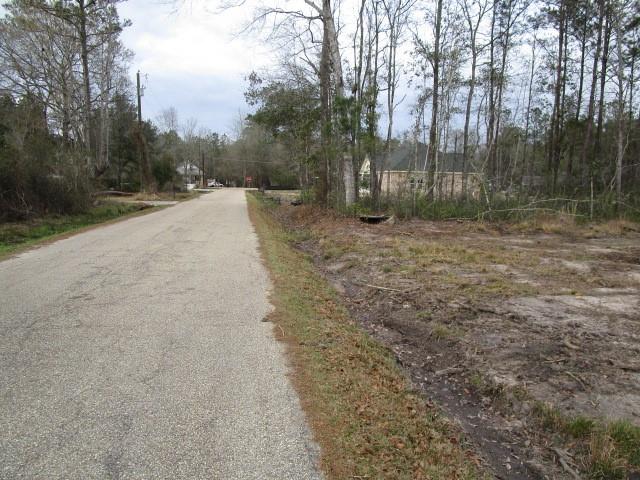 0 Pat Smith Road Pearl River, LA 70452 - Photo 3 of 4