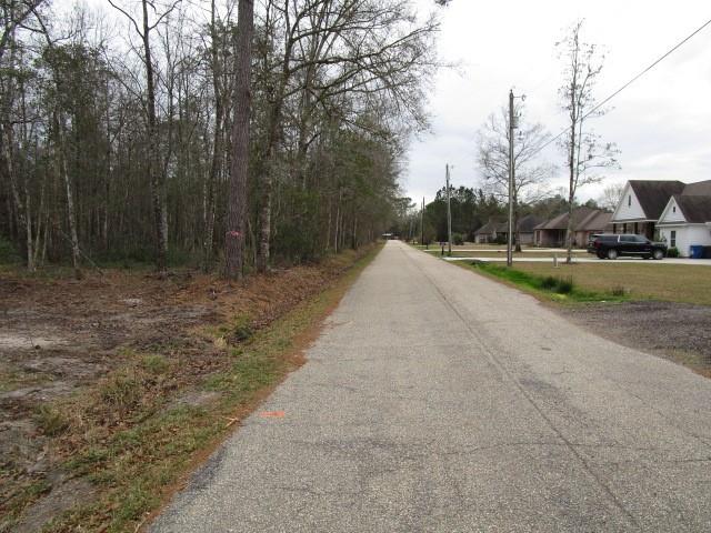 0 Pat Smith Road Pearl River, LA 70452 - Photo 4 of 4