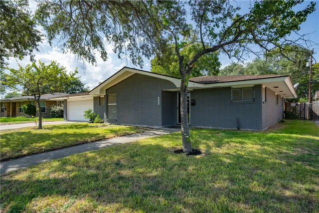 a backyard of a house with plants and large tree