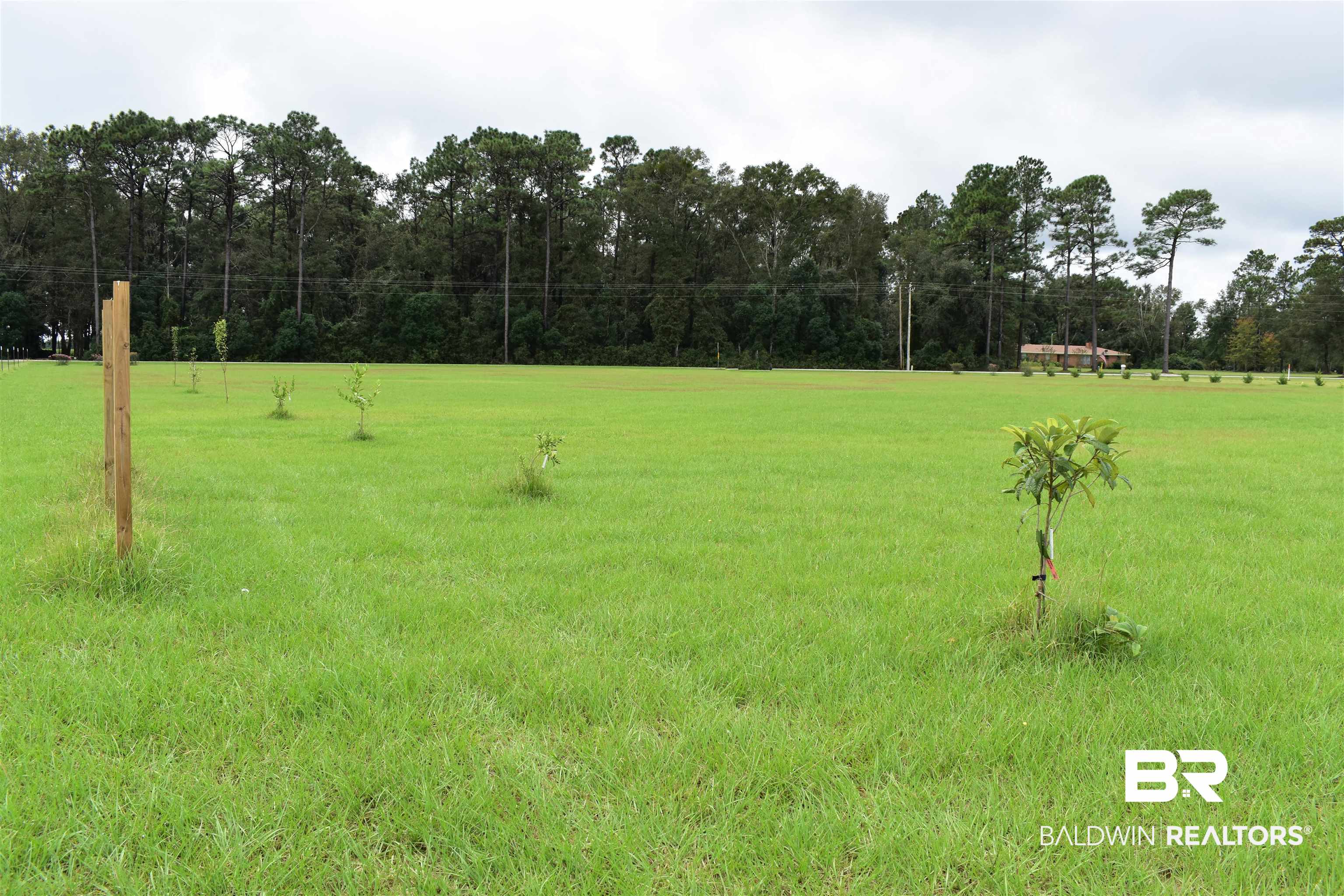 12115 County Road 54 Daphne, AL 36526 - Photo 2 of 17