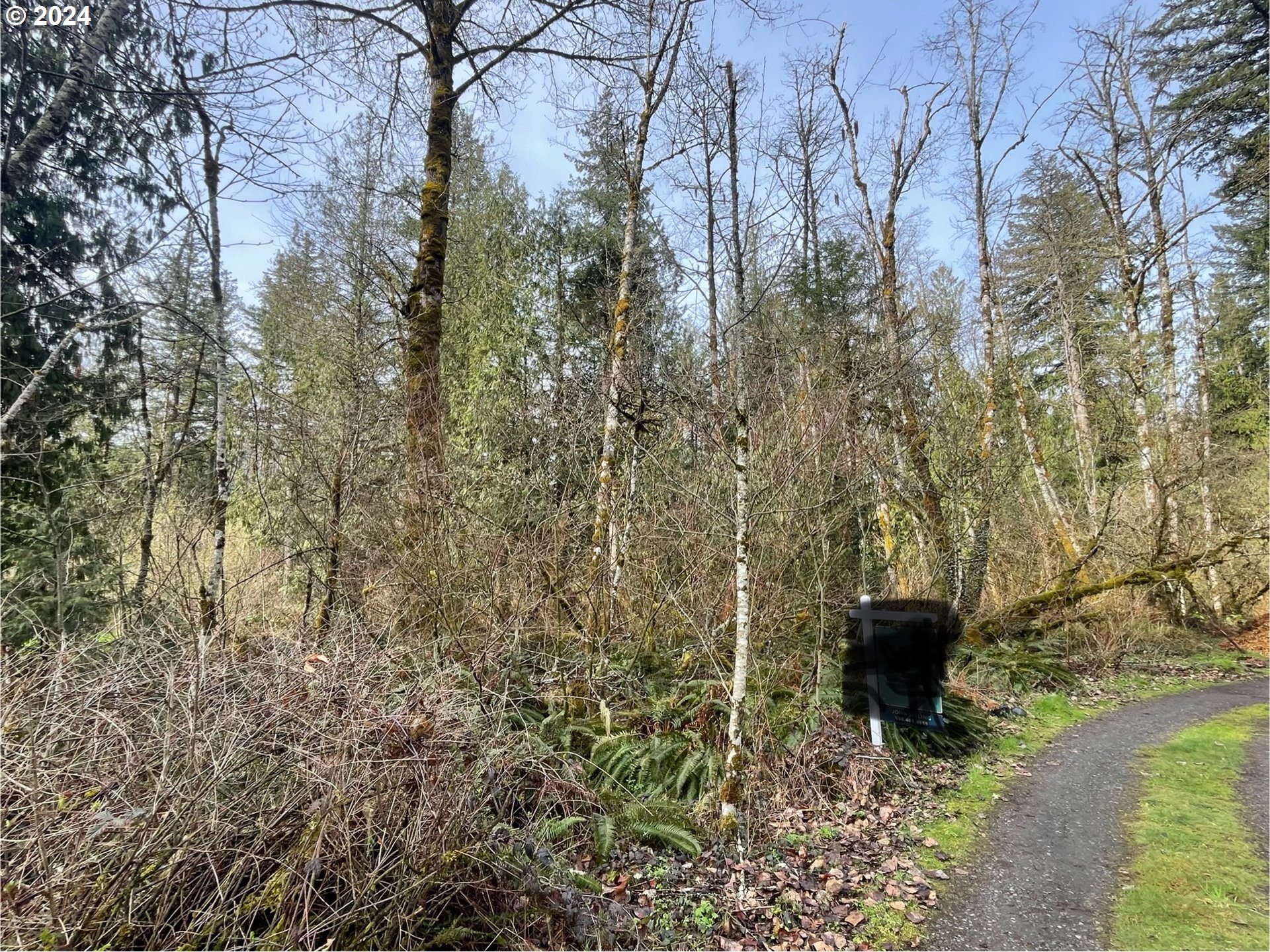 0 East Yakima Lane Rhododendron, OR 97049 - Photo 1 of 5 a backyard of a house with table and chairs