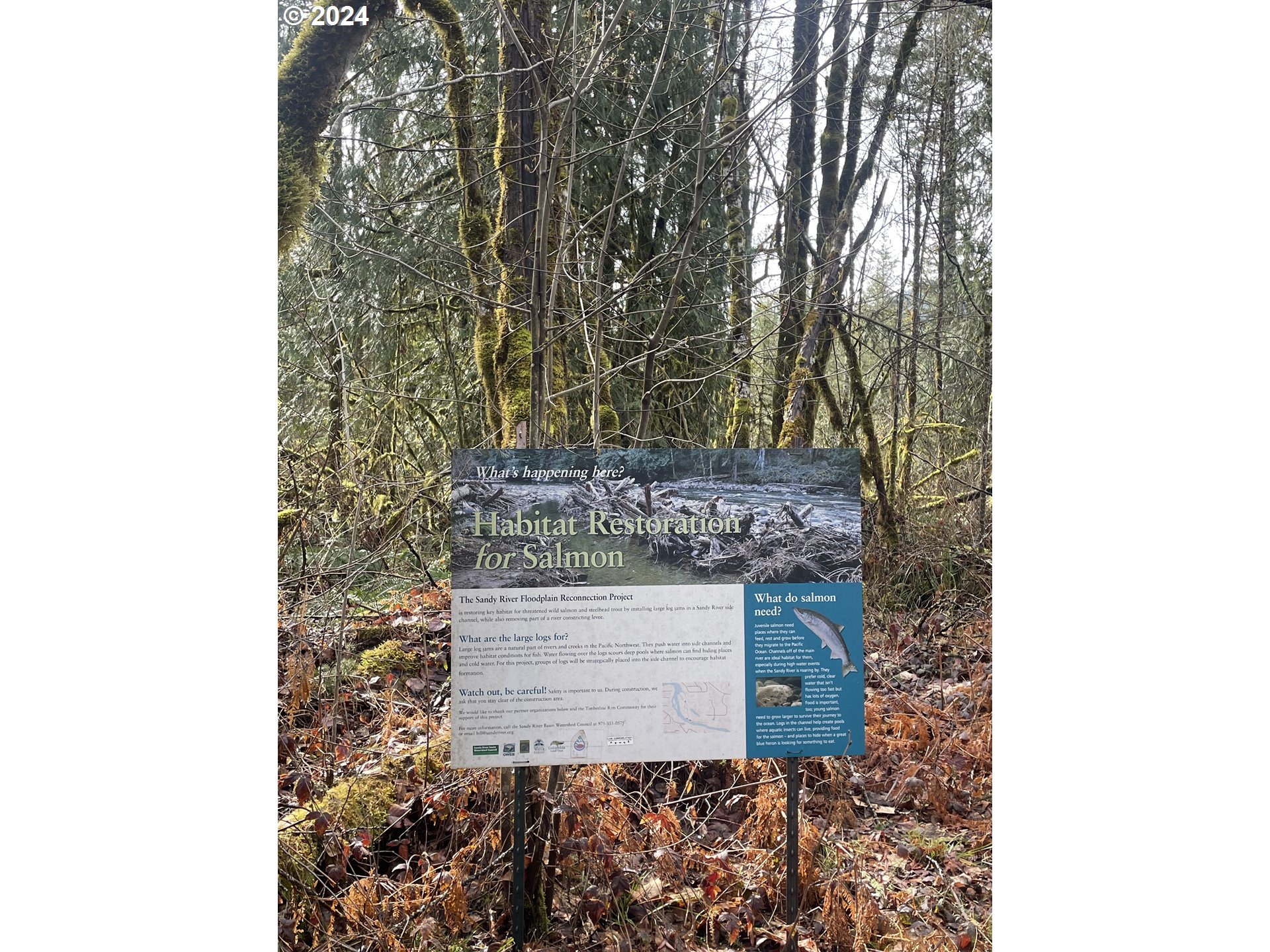 0 East Yakima Lane Rhododendron, OR 97049 - Photo 5 of 5