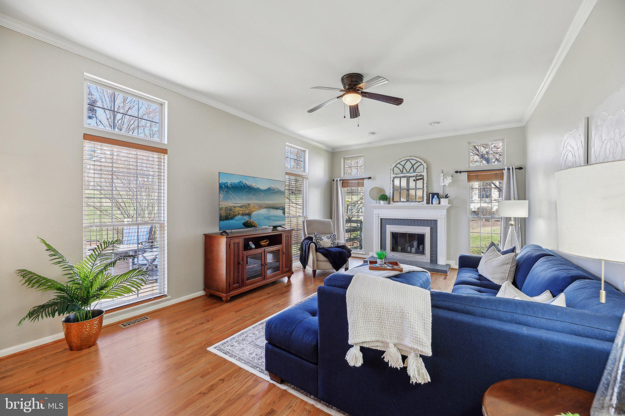 10204 Crosscut Way Damascus, MD 20872 - Photo 19 of 65 a living room with furniture a fireplace and a potted plant