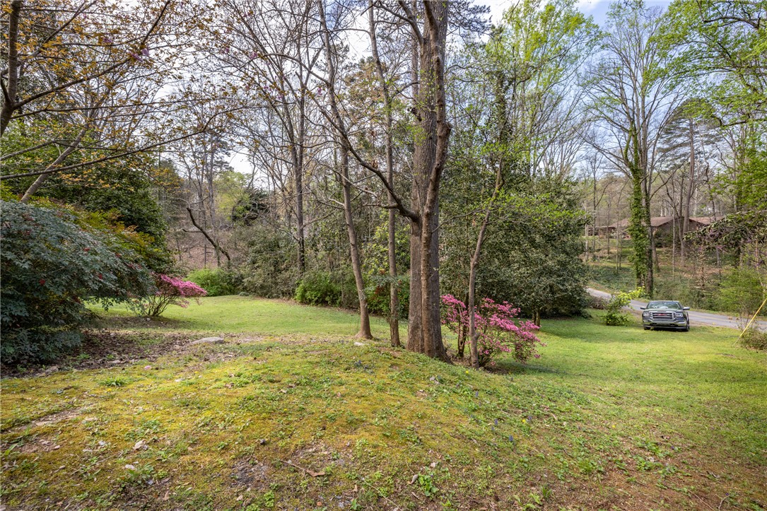 102 Cherokee Road Clemson, SC 29631 - Photo 36 of 50