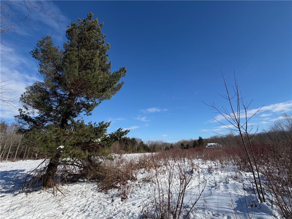 Carpenter Road Evans, NY 14006 - Photo 11 of 19