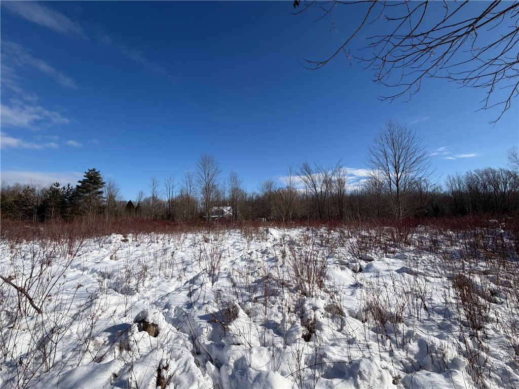 Carpenter Road Evans, NY 14006 - Photo 14 of 19