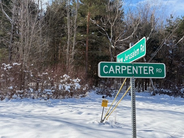 Carpenter Road Evans, NY 14006 - Photo 15 of 19