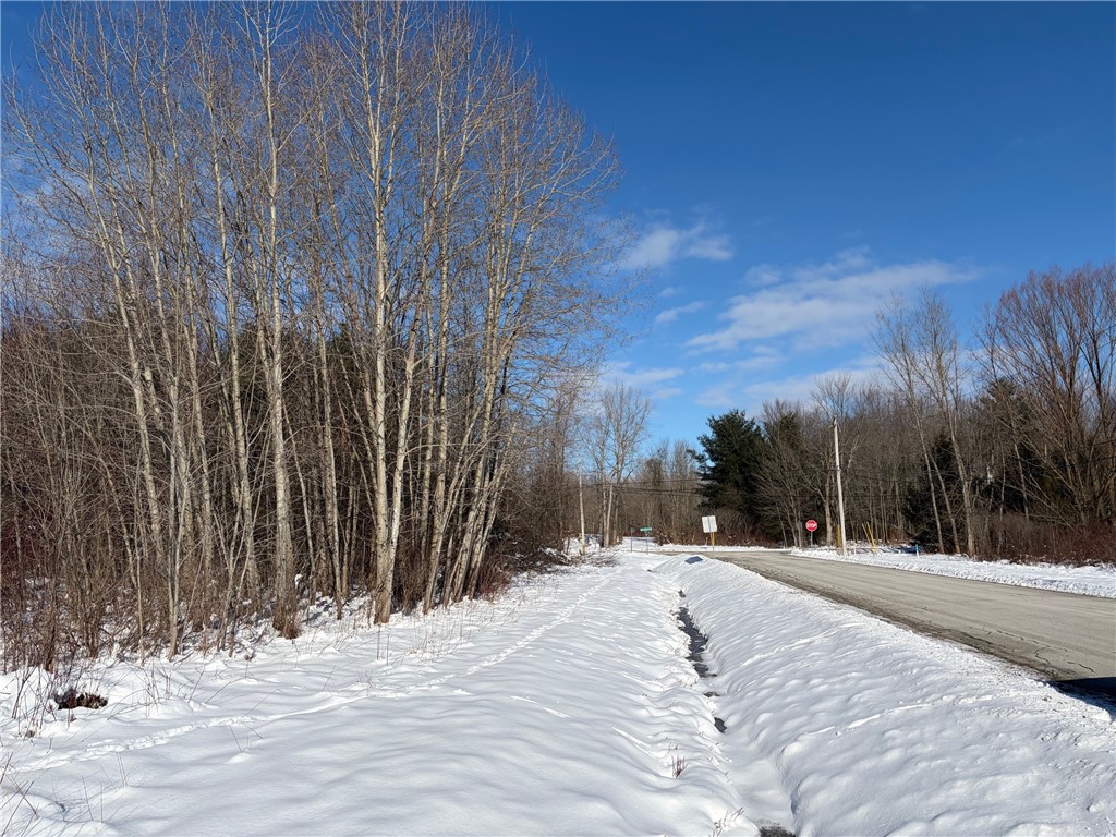 Carpenter Road Evans, NY 14006 - Photo 3 of 19