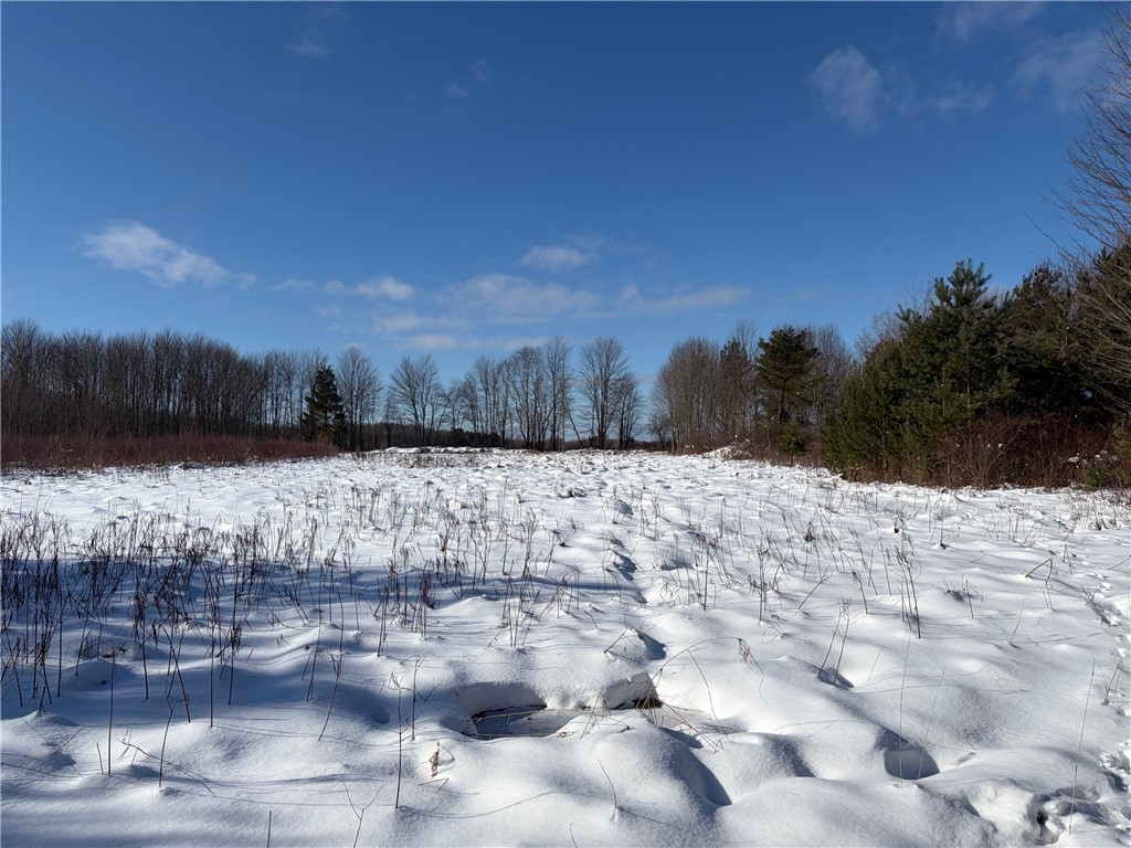 Carpenter Road Evans, NY 14006 - Photo 4 of 19