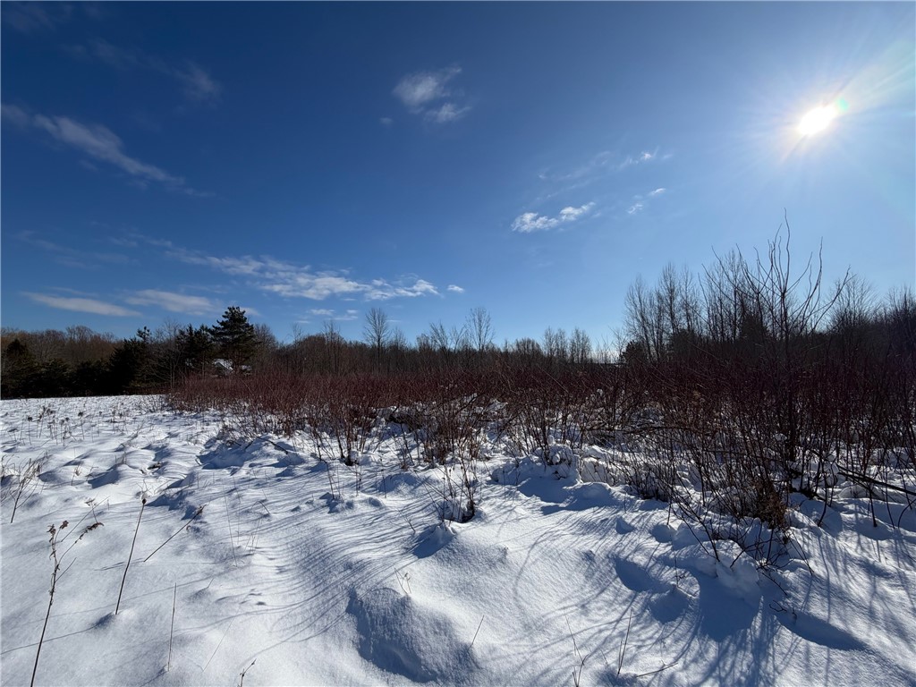 Carpenter Road Evans, NY 14006 - Photo 8 of 19