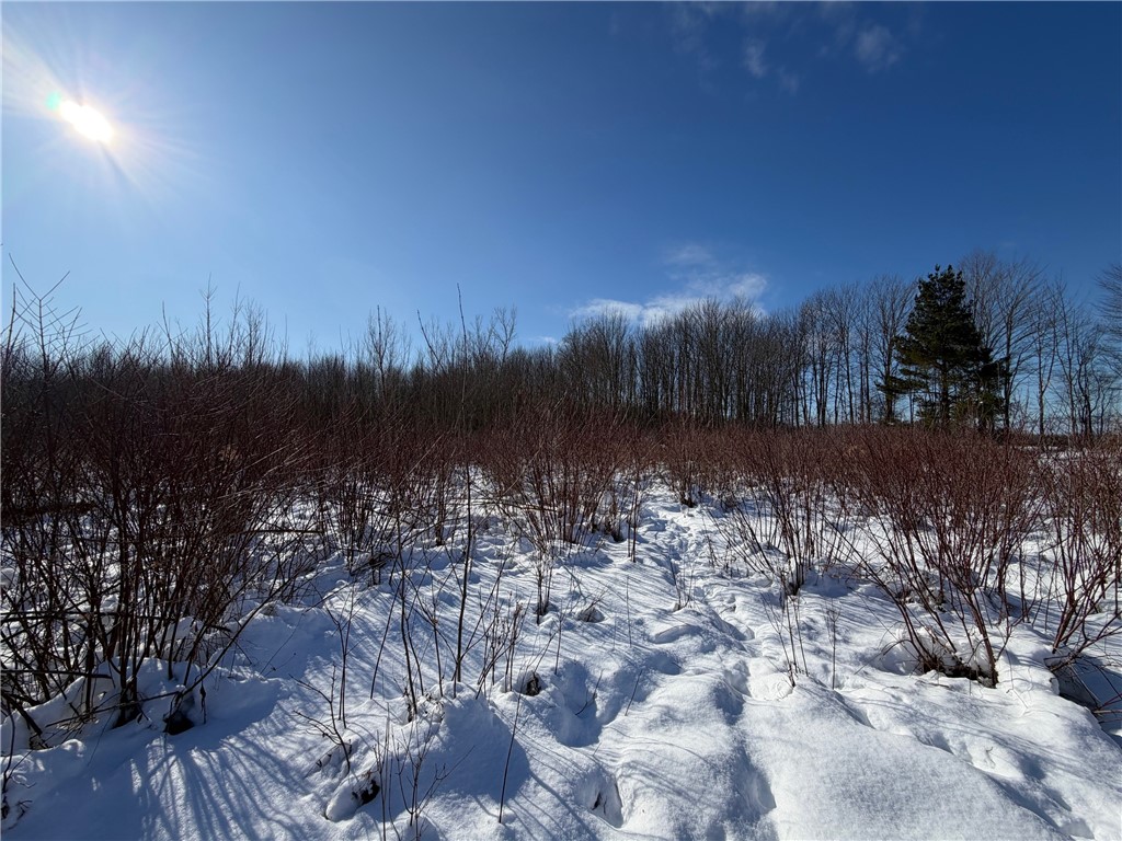 Carpenter Road Evans, NY 14006 - Photo 9 of 19