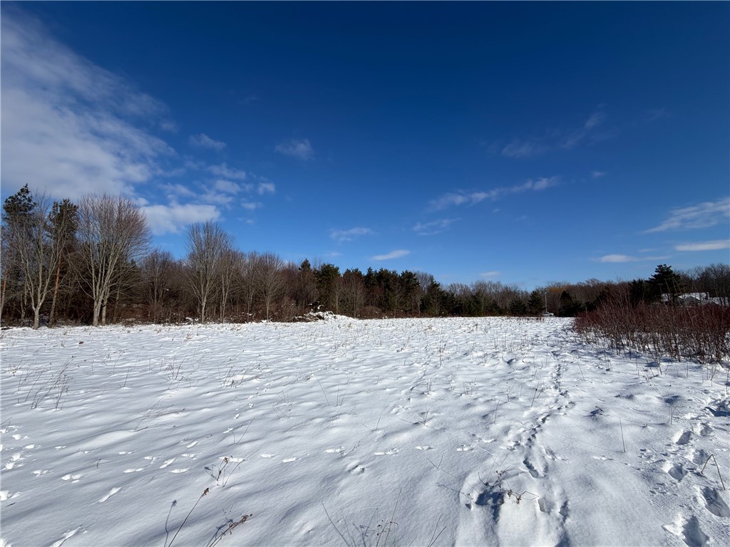 Carpenter Road Evans, NY 14006 - Photo 10 of 19