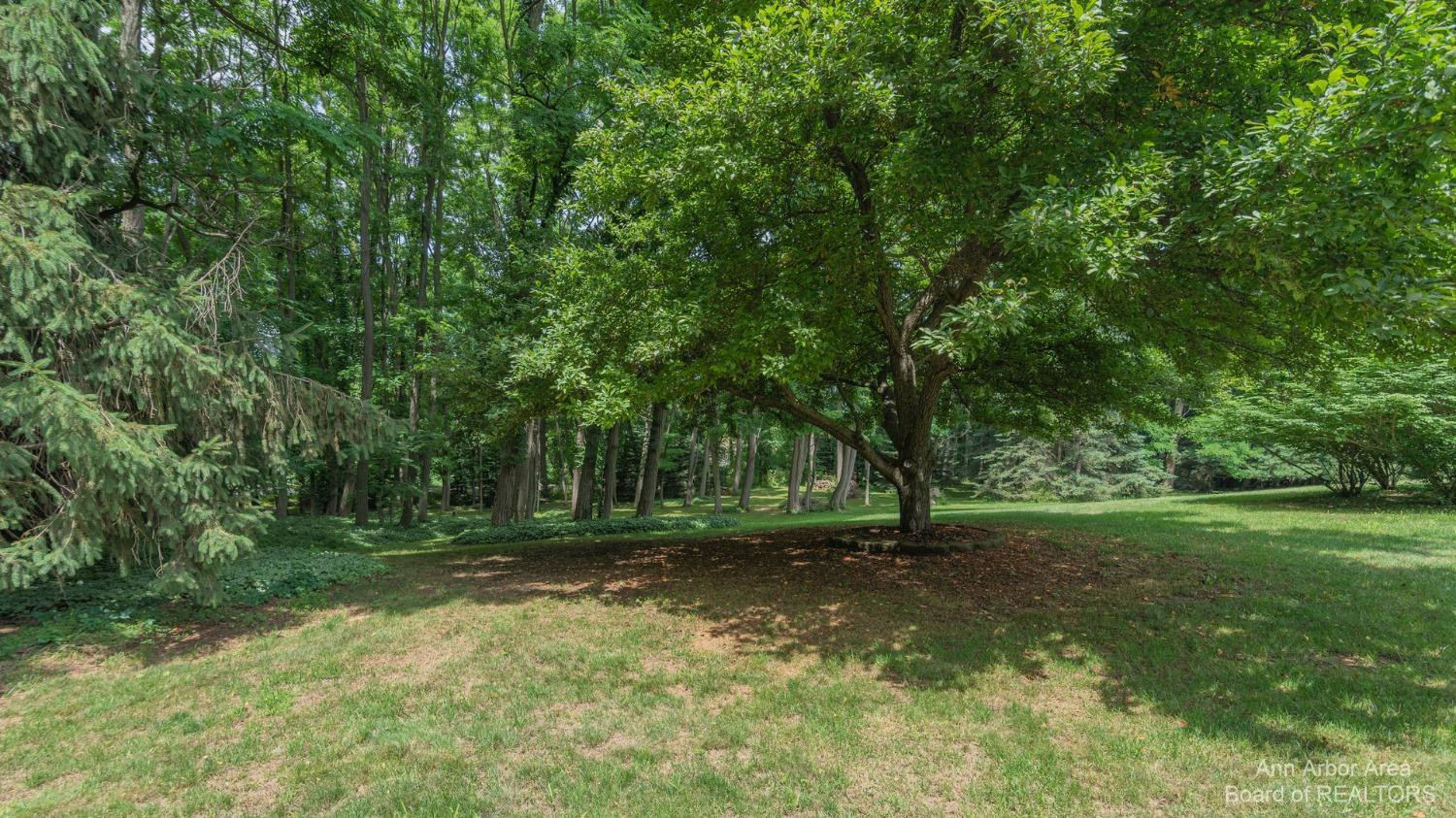 8986 Mast Road Dexter, MI 48130 - Photo 49 of 51 Photo 49