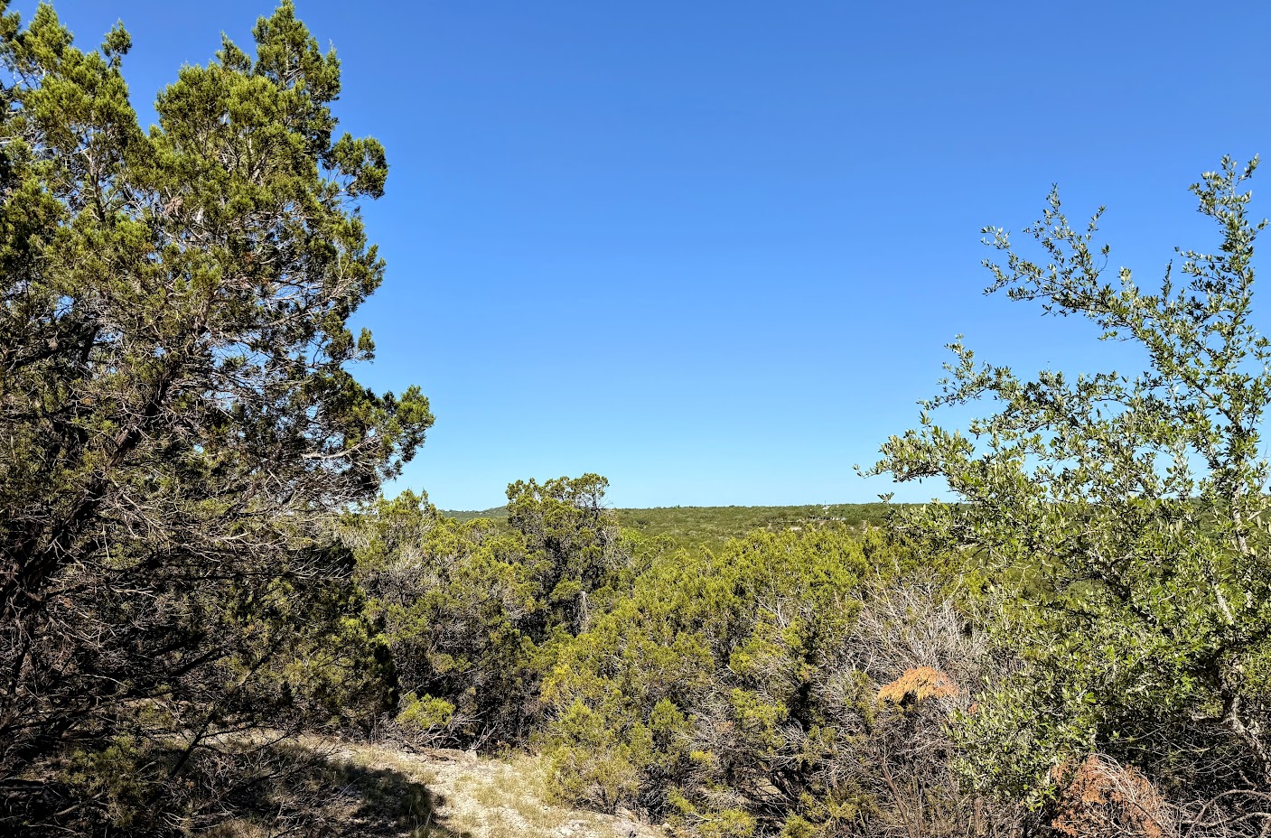 1930 South Rainbow Ranch Road Wimberley, TX 78676 - Photo 11 of 40