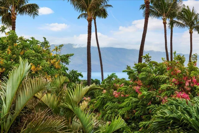 a bathroom with a granite countertop double vanity sink and a mirror