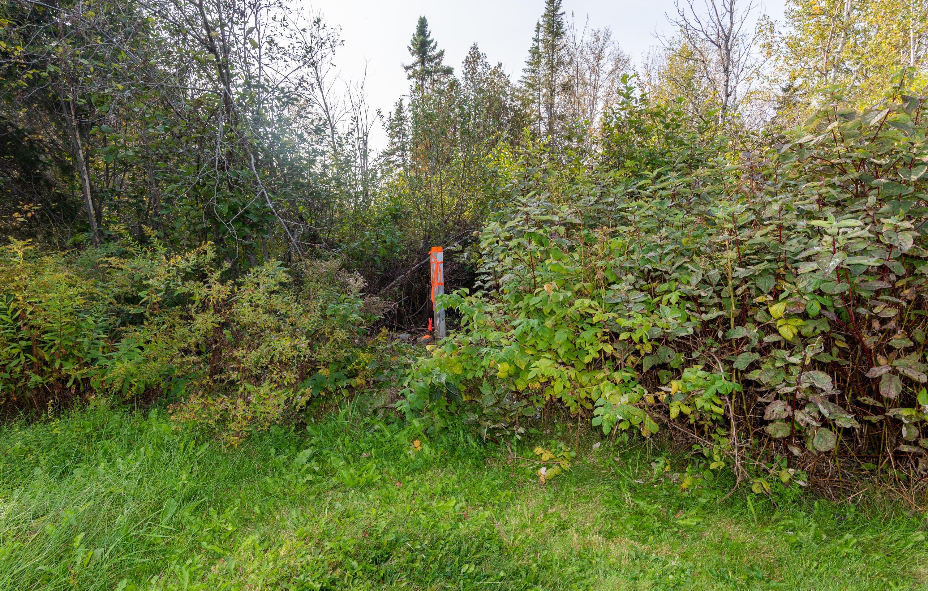 647 Beaulieu Road St. David, ME 04773 - Photo 24 of 55 DSC_1395