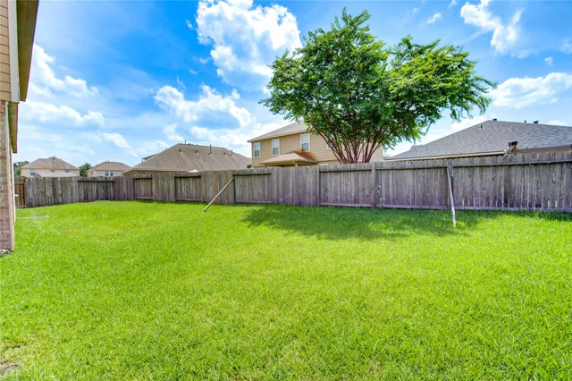 a view of a yard with a large tree