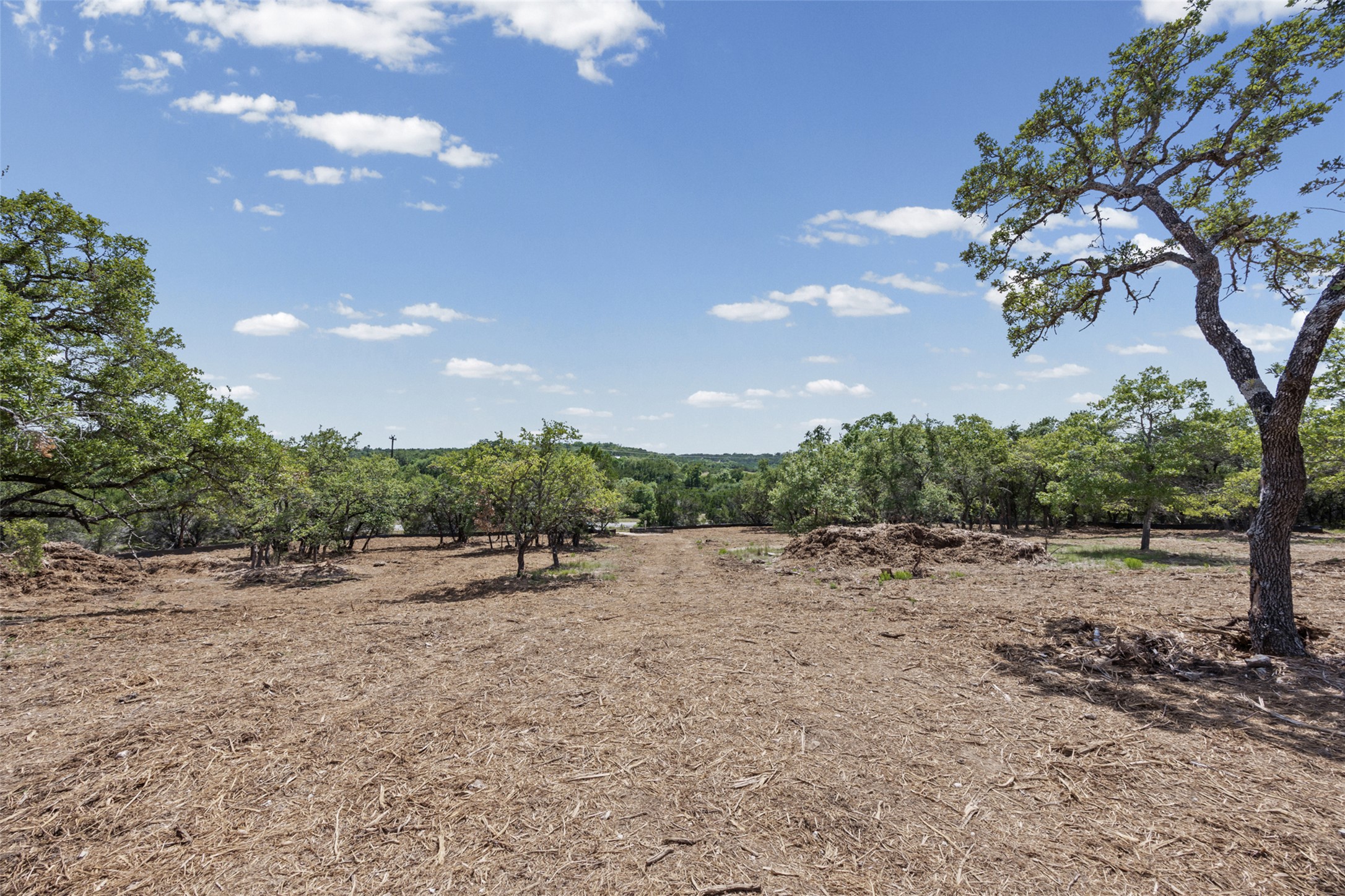 21924 Nameless Road Leander, TX 78641 - Photo 5 of 20 Gallery Image 5