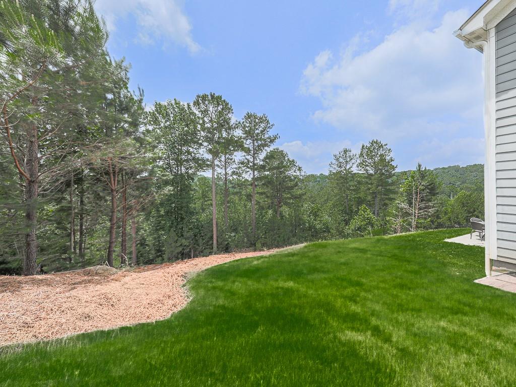 507 Perdue Trail Canton, GA 30115 - Photo 44 of 62