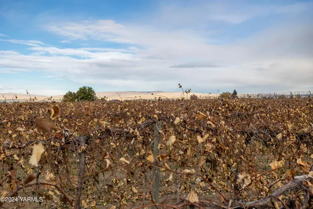 $230,000 | Tbd Forsell Road, Grandview, WA 98930