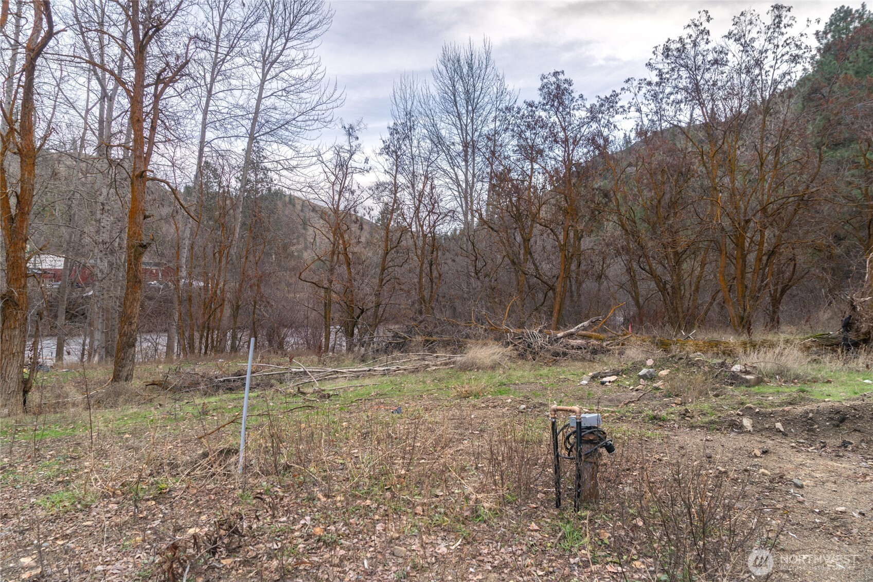 372 Mad Ranch Lane Entiat, WA 98822 - Photo 11 of 16 a backyard of a house with trees