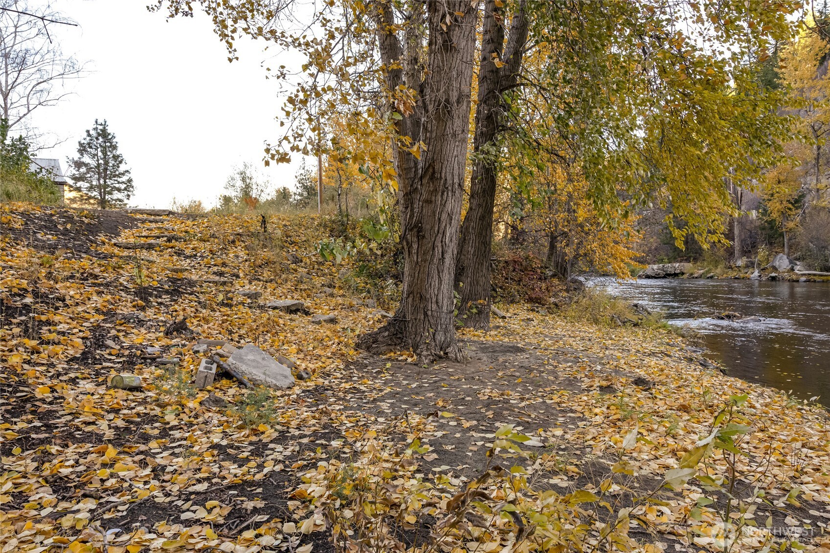 372 Mad Ranch Lane Entiat, WA 98822 - Photo 14 of 16 a view of a yard with mountain view