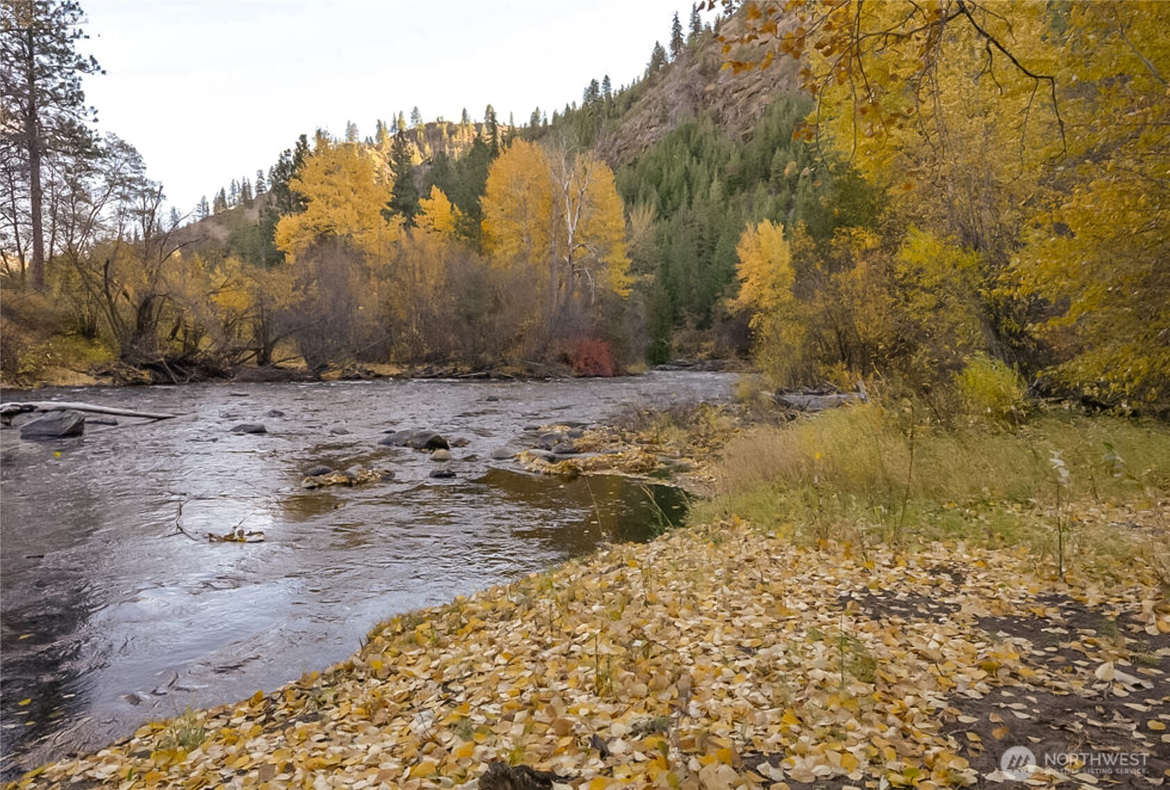 372 Mad Ranch Lane Entiat, WA 98822 - Photo 2 of 16 a view of dirt yard with a large tree