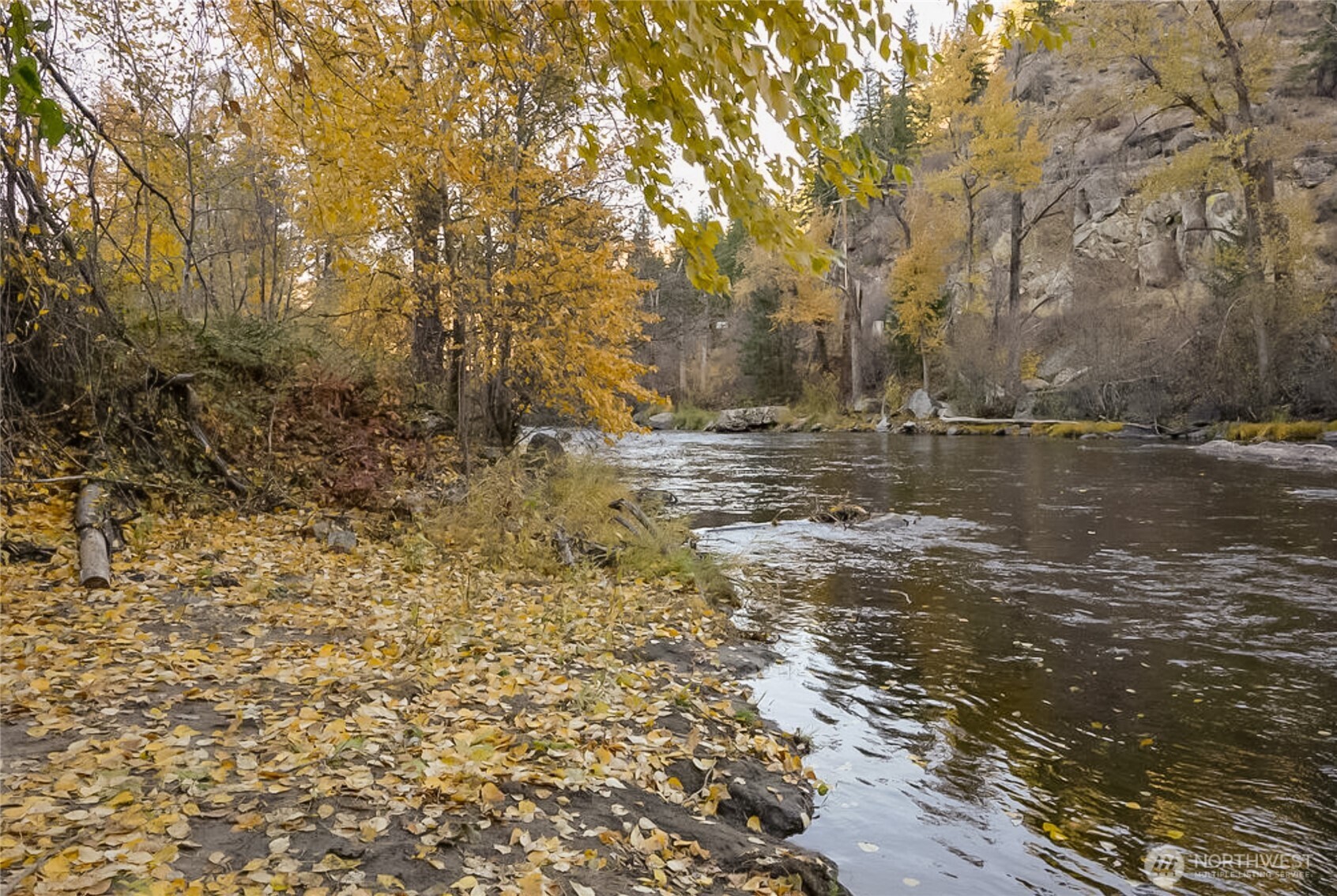 372 Mad Ranch Lane Entiat, WA 98822 - Photo 3 of 16 a view of a yard with large trees