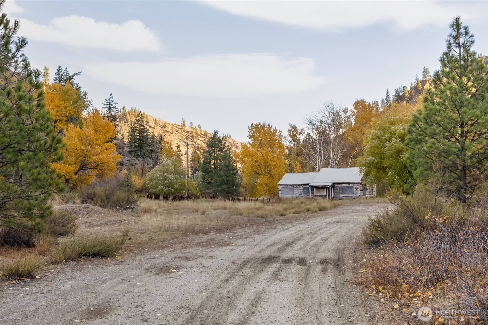 372 Mad Ranch Lane Entiat, WA 98822 - Photo 7 of 16 a view of a dry yard with trees