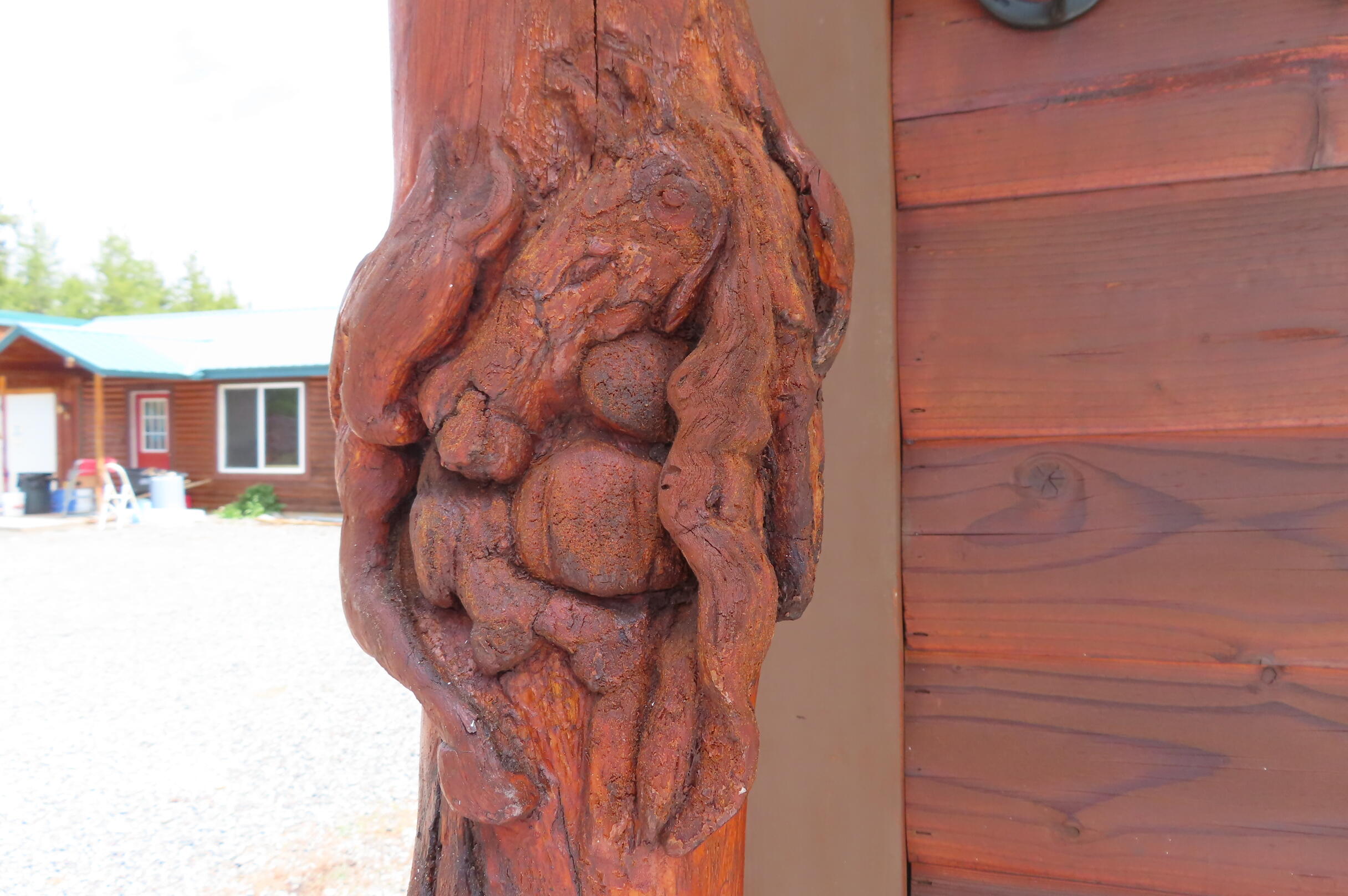 51240 Dianne Road La Pine, OR 97739 - Photo 36 of 45 Here are the Horses