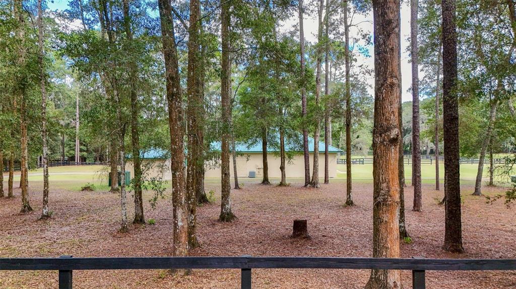 3 Carry Back Road Ocala, FL 34482 - Photo 82 of 85 Gallery Image 82