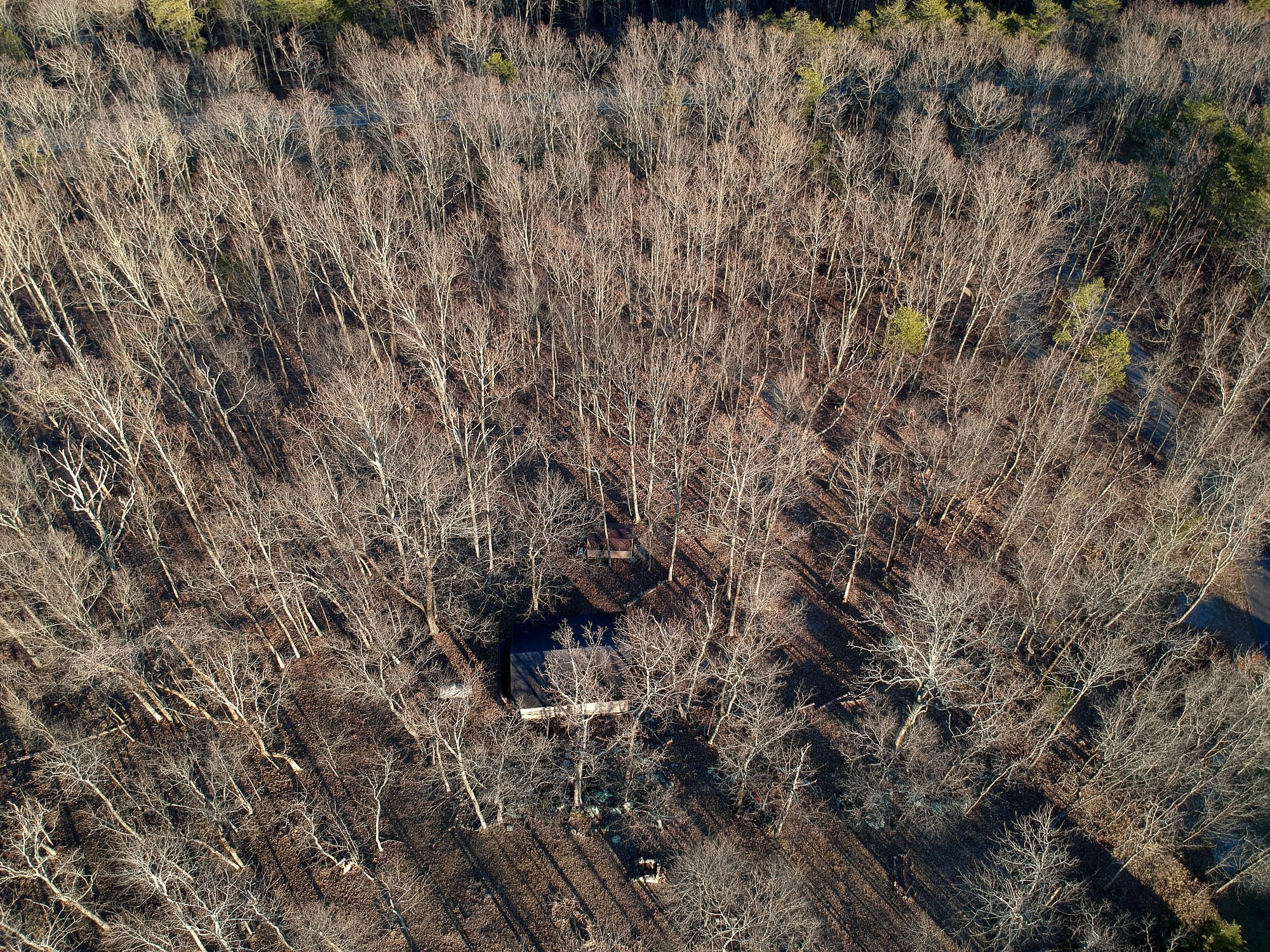 5049 Sunset Drive Rising Fawn, GA 30738 - Photo 17 of 27 20200229_5049SunsetDRONE_082