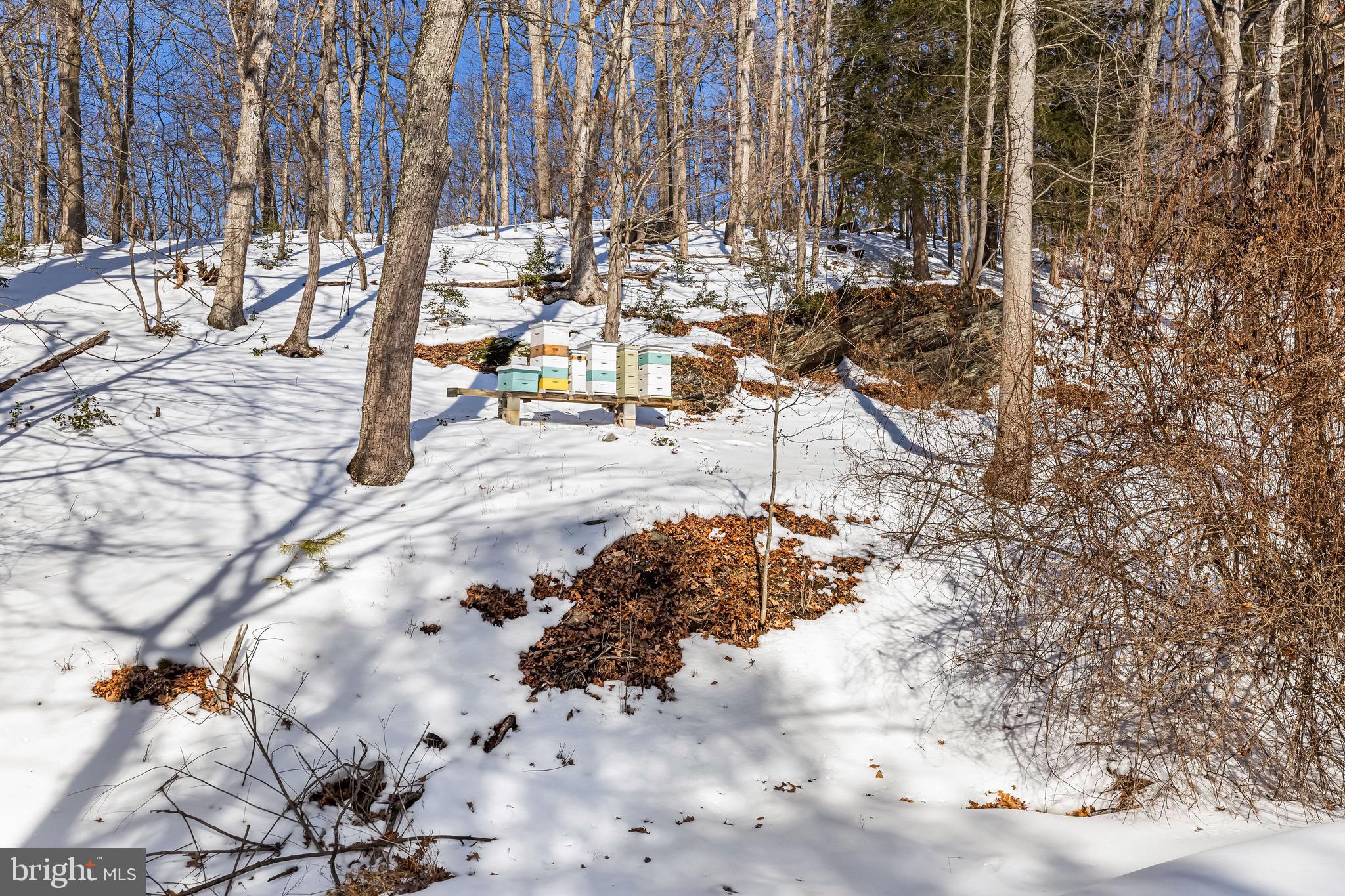 426 Bentley Road Parkton, MD 21120 - Photo 71 of 99