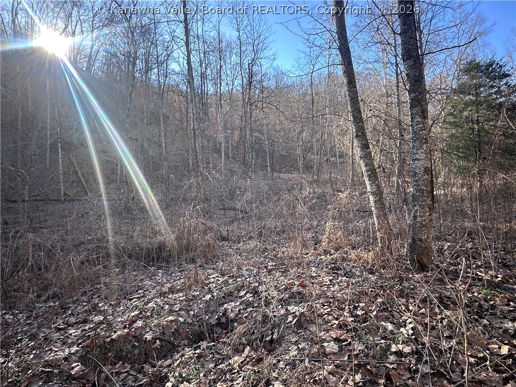 981 Powell Branch Road Danville, WV 25053 - Photo 38 of 50 Gallery Image 38