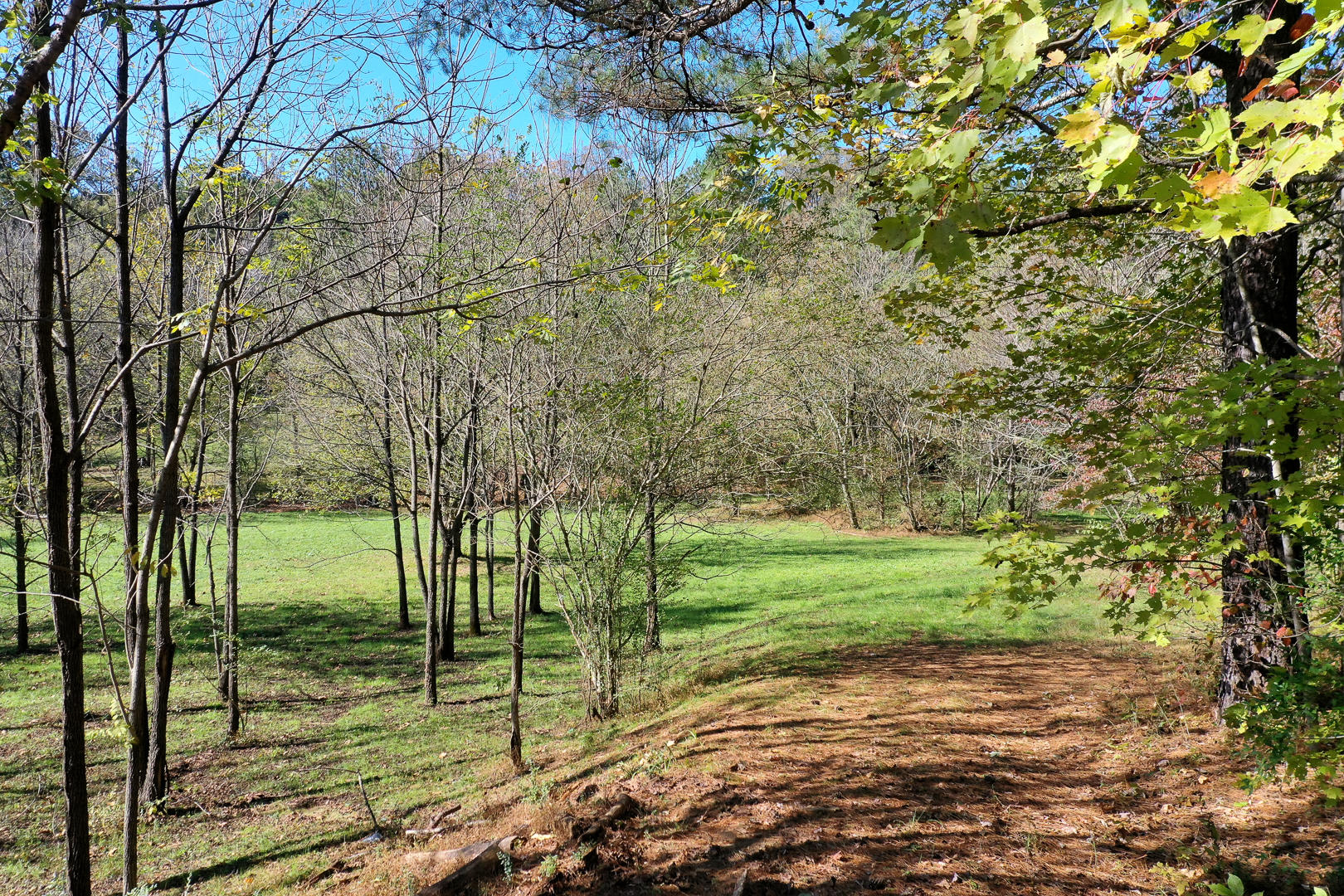 6 Mile Rd Road Maryville, TN 37803 - Photo 1 of 12 DSC-8910-11